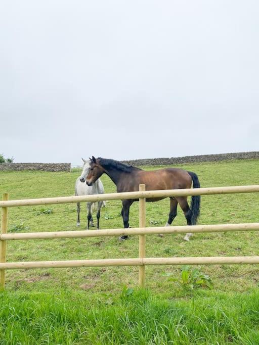 Luxury Detached Peak District Stone Barn - Dog Friendly Villa Hazelwood Bagian luar foto