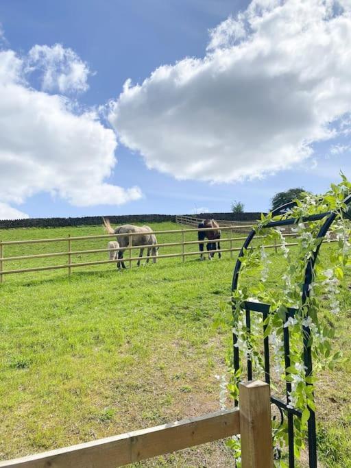 Luxury Detached Peak District Stone Barn - Dog Friendly Villa Hazelwood Bagian luar foto
